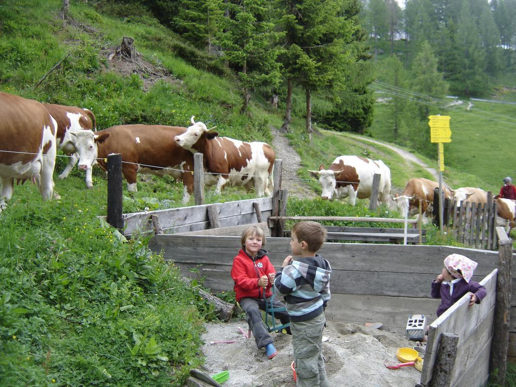 Gloesalm Apartment Ramsau am Dachstein Phòng bức ảnh