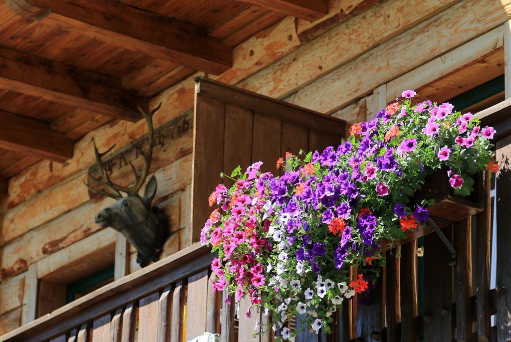 Gloesalm Apartment Ramsau am Dachstein Ngoại thất bức ảnh