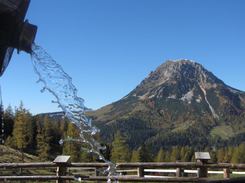 Gloesalm Apartment Ramsau am Dachstein Ngoại thất bức ảnh