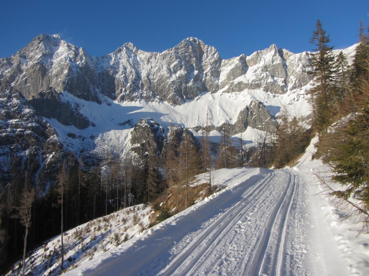Gloesalm Apartment Ramsau am Dachstein Ngoại thất bức ảnh