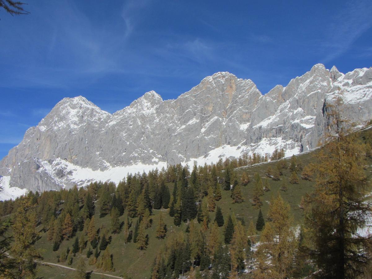 Gloesalm Apartment Ramsau am Dachstein Ngoại thất bức ảnh